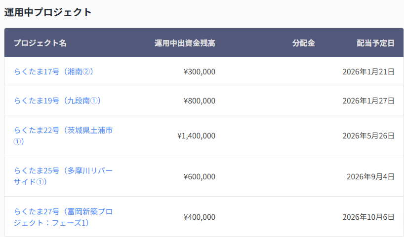 らくたま　投資中実績