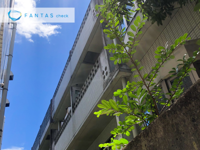 FANTAS check （中古不動産流通）PJ 第３４号